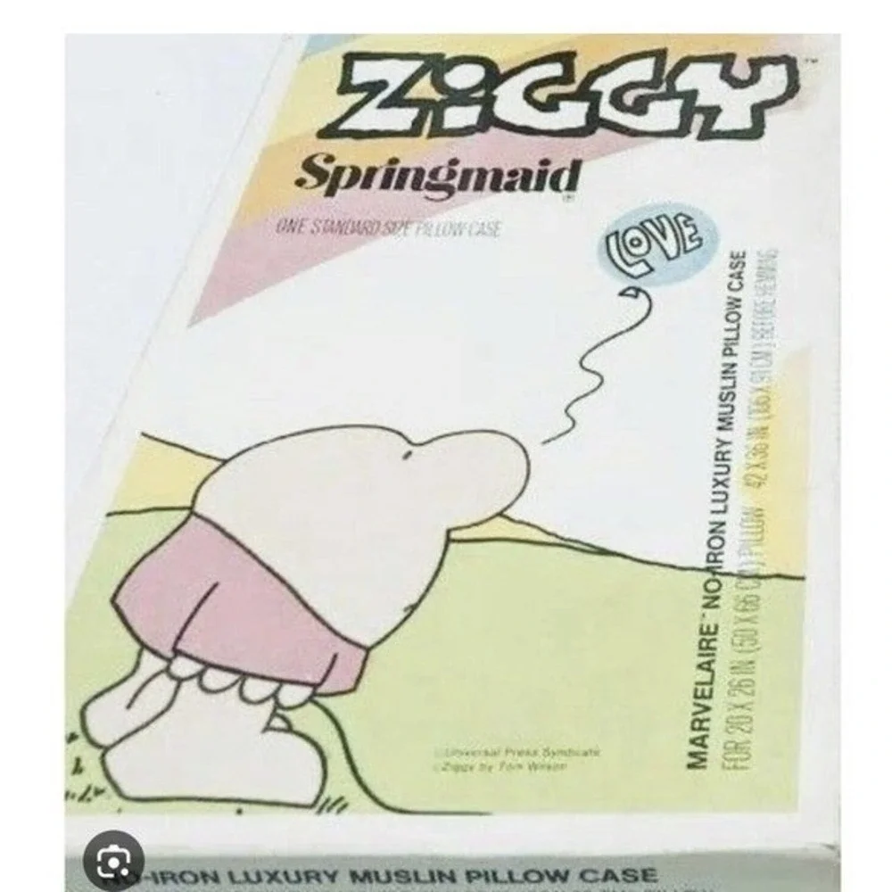 Springmaid‎ Ziggy Full Size Quilted Bedspread Kids Multicolor Vintage Rainbow